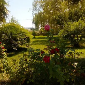 Appartamento Il Giardino Delle Rose A, Olmedo